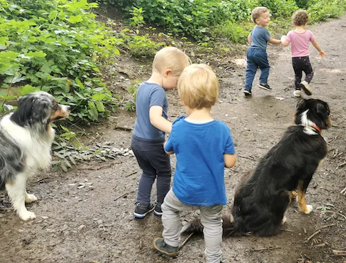Kinder und Hunde